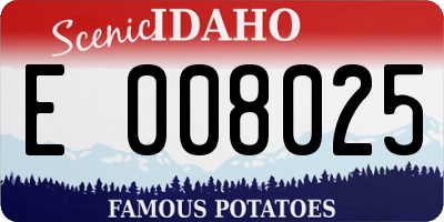 ID license plate E008025