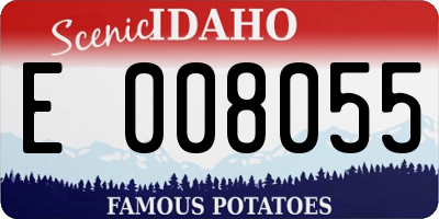 ID license plate E008055