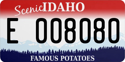 ID license plate E008080