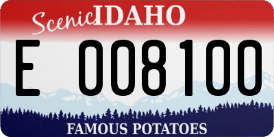 ID license plate E008100