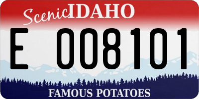 ID license plate E008101