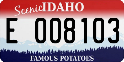 ID license plate E008103