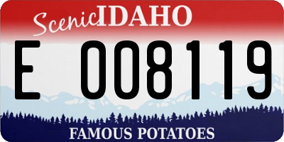 ID license plate E008119
