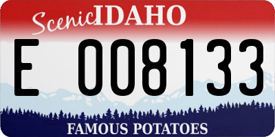 ID license plate E008133