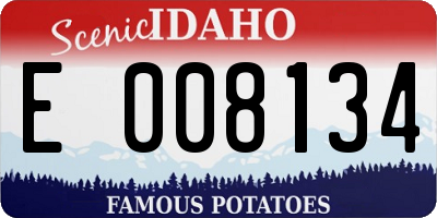 ID license plate E008134