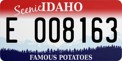 ID license plate E008163