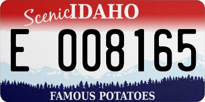 ID license plate E008165