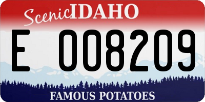 ID license plate E008209