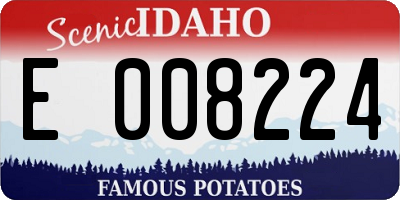 ID license plate E008224