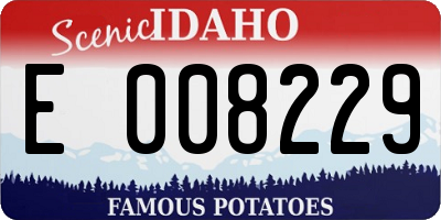 ID license plate E008229
