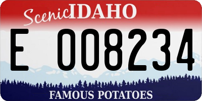 ID license plate E008234