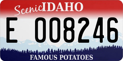 ID license plate E008246