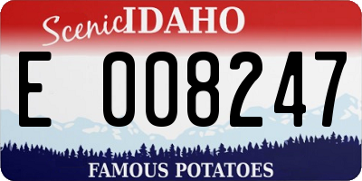 ID license plate E008247
