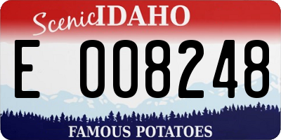 ID license plate E008248