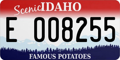ID license plate E008255