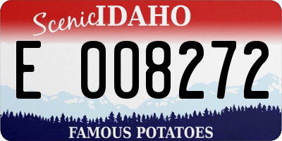 ID license plate E008272