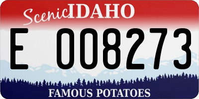 ID license plate E008273