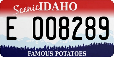 ID license plate E008289