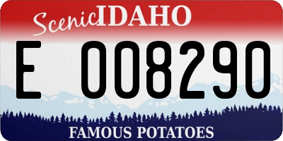 ID license plate E008290