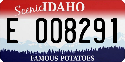 ID license plate E008291