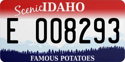 ID license plate E008293