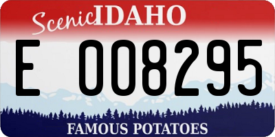 ID license plate E008295