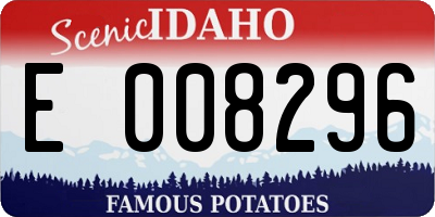 ID license plate E008296