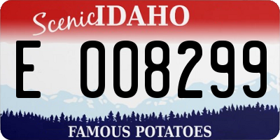 ID license plate E008299