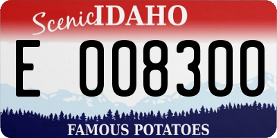 ID license plate E008300