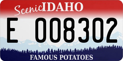ID license plate E008302