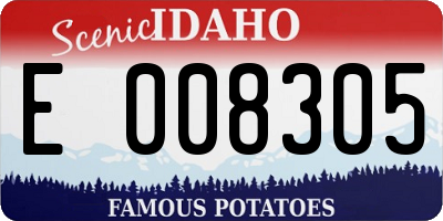 ID license plate E008305