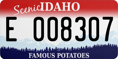 ID license plate E008307