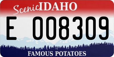 ID license plate E008309