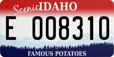ID license plate E008310