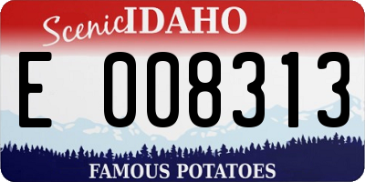 ID license plate E008313