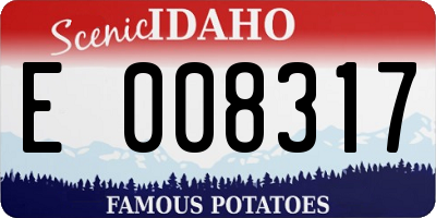 ID license plate E008317