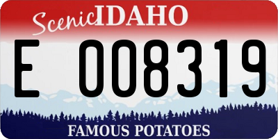 ID license plate E008319