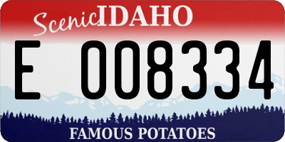 ID license plate E008334