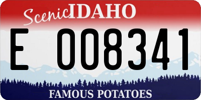 ID license plate E008341