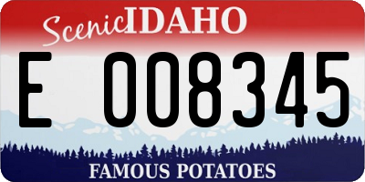 ID license plate E008345