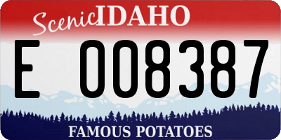 ID license plate E008387