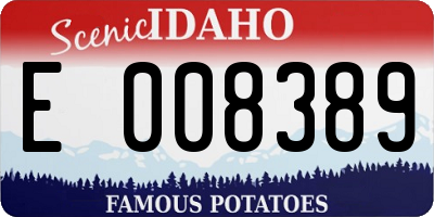 ID license plate E008389