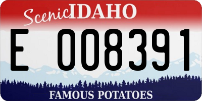 ID license plate E008391