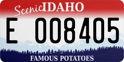 ID license plate E008405