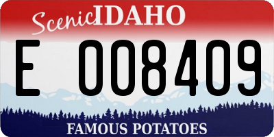 ID license plate E008409