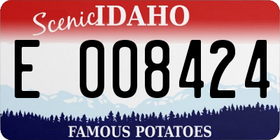 ID license plate E008424