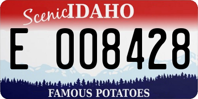 ID license plate E008428