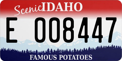 ID license plate E008447