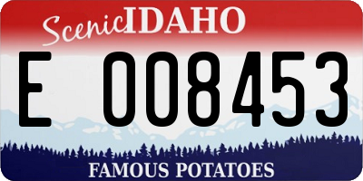 ID license plate E008453