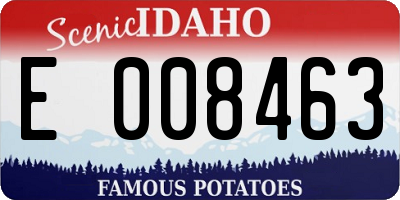 ID license plate E008463